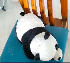 Cute Plush Panda