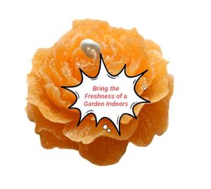 Orange Rose Scented Candle