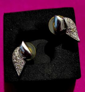 Sparkling Silver Earrings