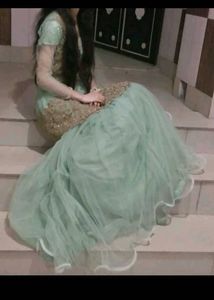 Elegant Light Green Embroidered Ethnic Gown