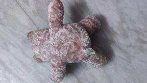 combo of soft toys