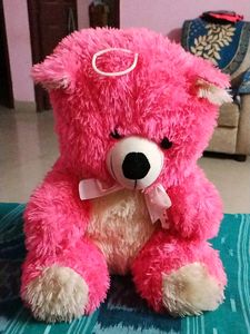 Deddy Bear For Kids New