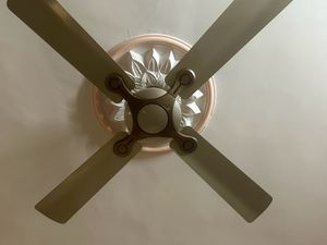 Havells And Orient Fan
