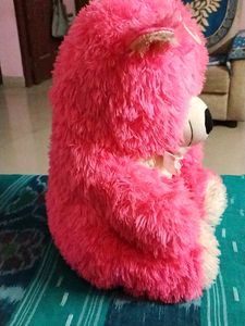 Deddy Bear For Kids New