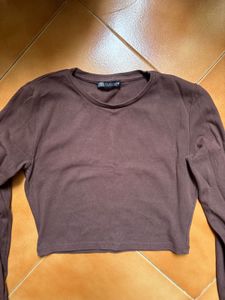 Zara Brown Long Sleeve Cropped Top