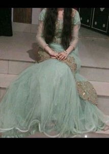 Elegant Light Green Embroidered Ethnic Gown