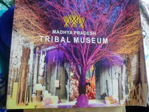 MP Tribal Museum Book