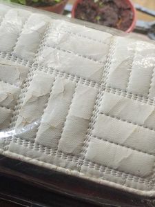Stylish Wallet