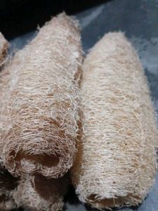 Natural Loofah Sponges