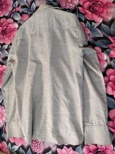 Classic Blue Jay Button-Up Shirt