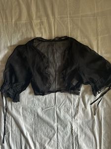 Sheer Black Lace Trim Crop Top