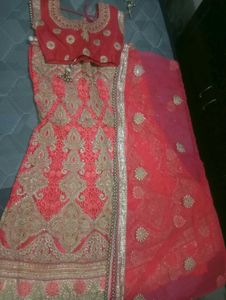 Embroidered Lehenga Choli