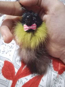 Cute Fluffy Animal Keychain with Yellow Fur, Black