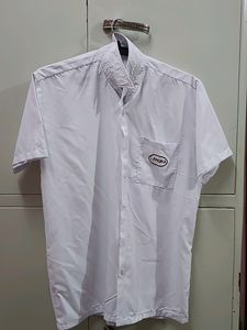 White Shirt Pack Of -2😍