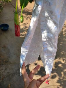 White Chikenkari Kurti