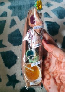 Seashell Candles Set