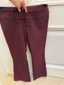 Maroon Bootcut Dress Pants
