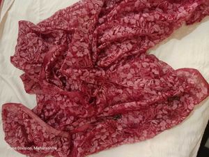 Elegant Red Floral Lace Saree