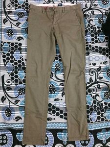 Olive Colour Pant
