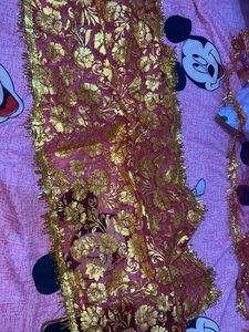 Elegant Embroidered Dupatta