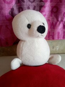White Soft Pigeon Good Quality