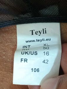 High Waist Mesh Panties with Lace Teyli brand