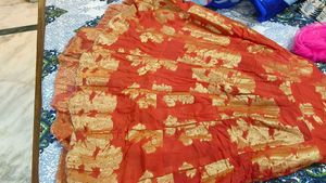 Elegant Ethnic Skirt