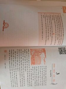 Lot of 3 NCERT Textbooks