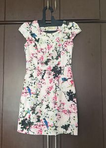 Floral Bird Print Dress
