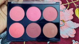 CVB Blush 🎀