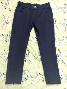 Stylish Navy Blue Jeggings