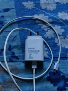 Samsung Fast Charger & Cable