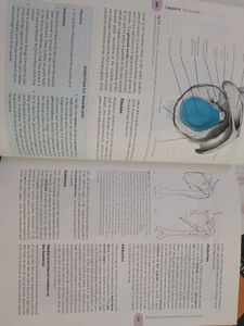 Cunningham's Anatomy Books (Set of 3)