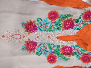 Vibrant Embroidered Kurti Top