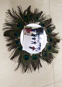 Peacock Feather Wall Decorative Item Use In Photo