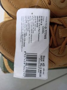 Woodland Brand Casual Boot Fixed Price