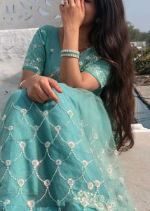 Elegant Mint Green Saree