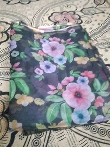 Pure Organza Saree