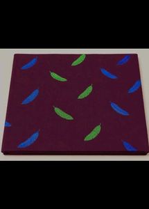 Designer Saree with Feather Print