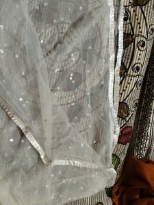 Elegant silver Sequin Dupatta