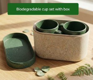 Set of 2 Green Mugs with Box