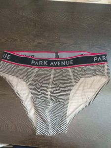 Park Avenue Striped Briefs