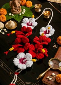 Beautiful Hibiscus Flower Haar 🌺 (जास्वंद)