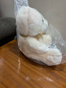 Cute Cream Teddy Bear