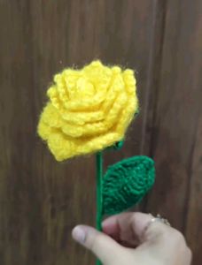 Handmade Crochet multi Roses 💐