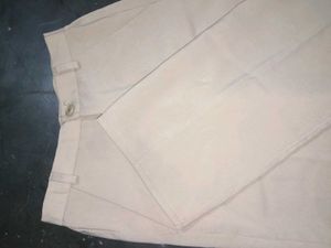 Classic Beige Casual Trousers
