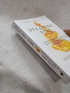 Stealing Fire Book