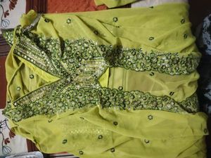 Embroidered Green Blouse and palzoo with sharg