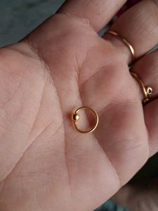 Gold Nose Ring