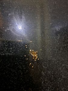 Itsy Bitsy Gold Sequins Craft Art